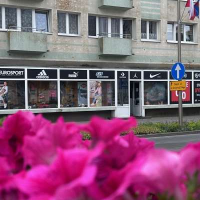 LOKAL na WYNAJEM