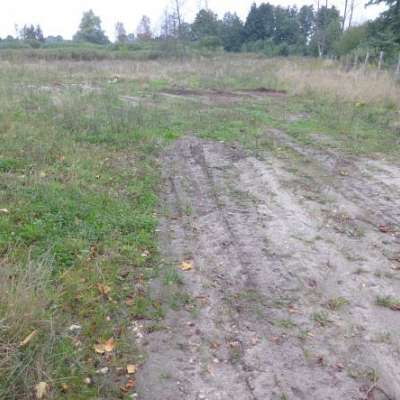 DZIAŁKA na WYNAJEM