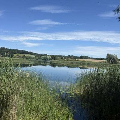 DZIAŁKA na WYNAJEM